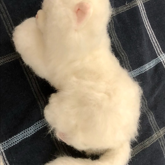 Stuffed animal cat with music box - Picture 2 of 3